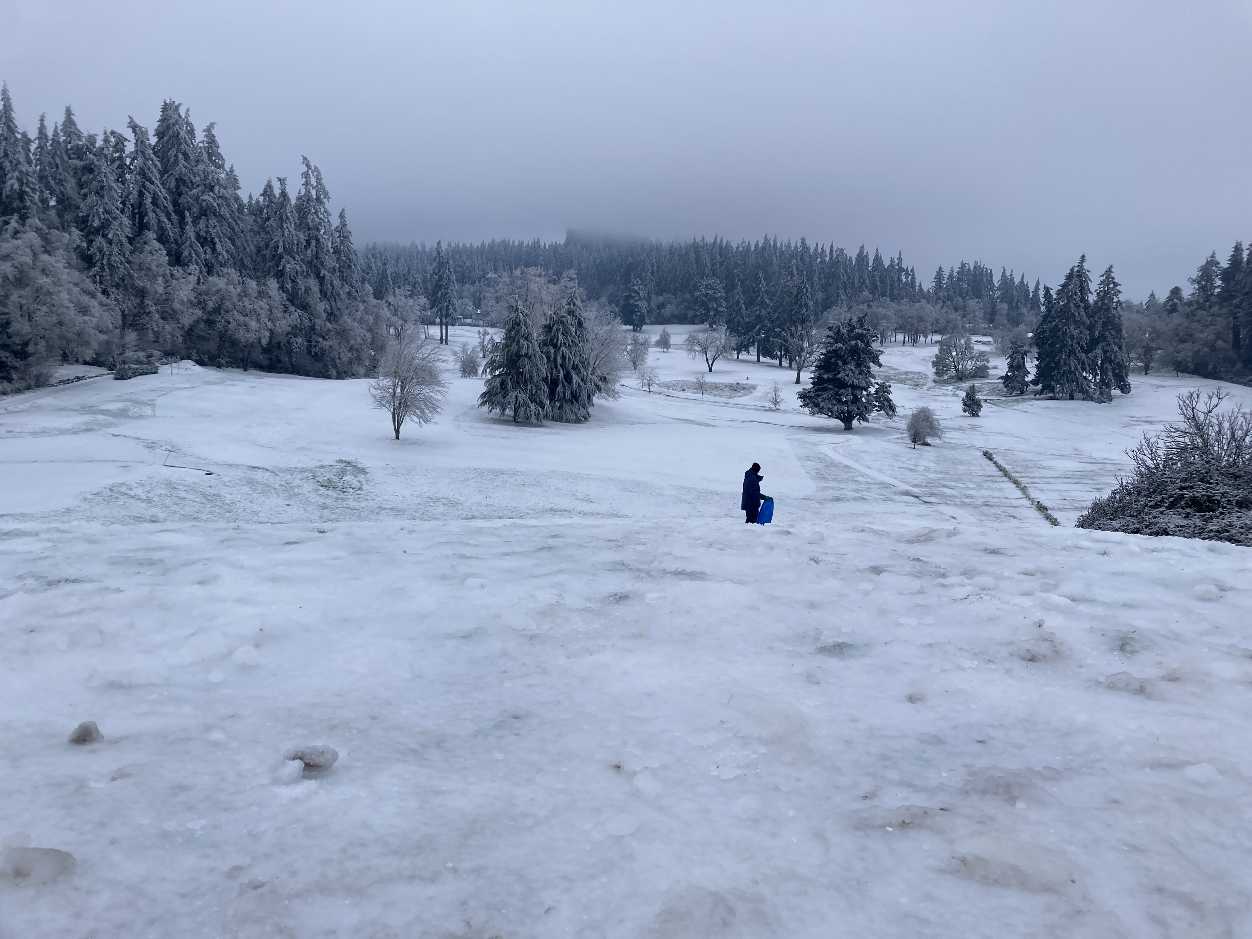 Sledding